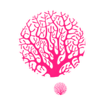 red coral